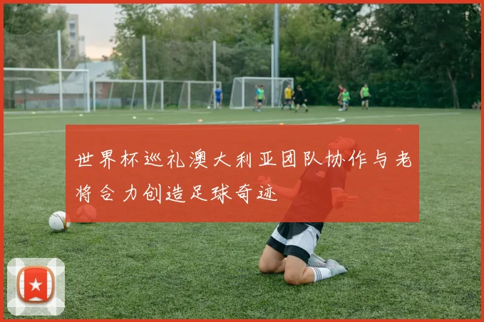 世界杯巡礼澳大利亚团队协作与老将合力创造足球奇迹